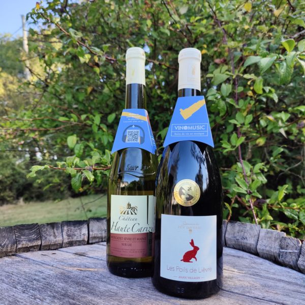 Photo de deux bouteilles de vin, un Anjou village et un muscadet sèvre et Maine. Les deux bouteilles sont sur un tonneau entourées de végétation.