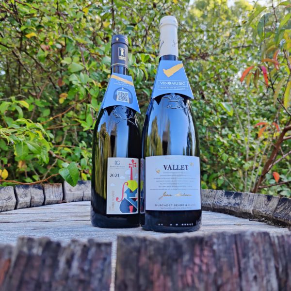 Bouteille de Muscadet Vallet et bouteille d'Anjou Rouge, box de vin rayonnant